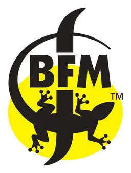Brasserie BFM Bandy